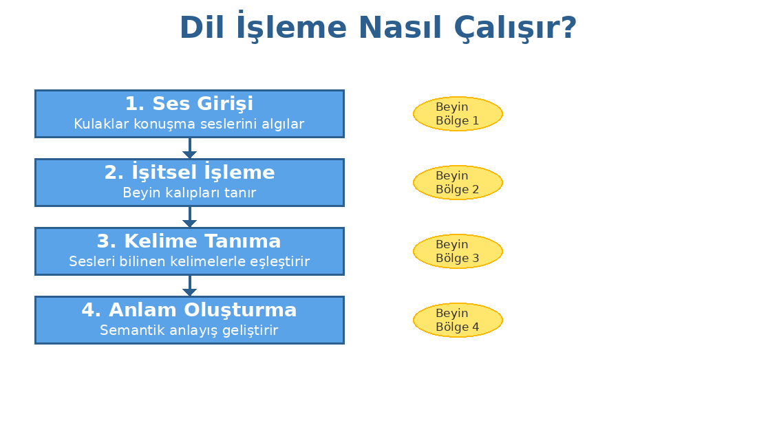 Başlık: Dil İşleme Adımları - Açıklama: Ses girişinden anlam oluşturmaya kadar dil işlemenin sıralı adımlarını gösteren akış şeması